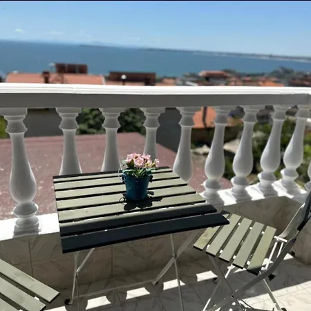 николета ゲストハウス *